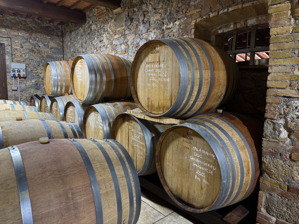 KW_sanGimignano1