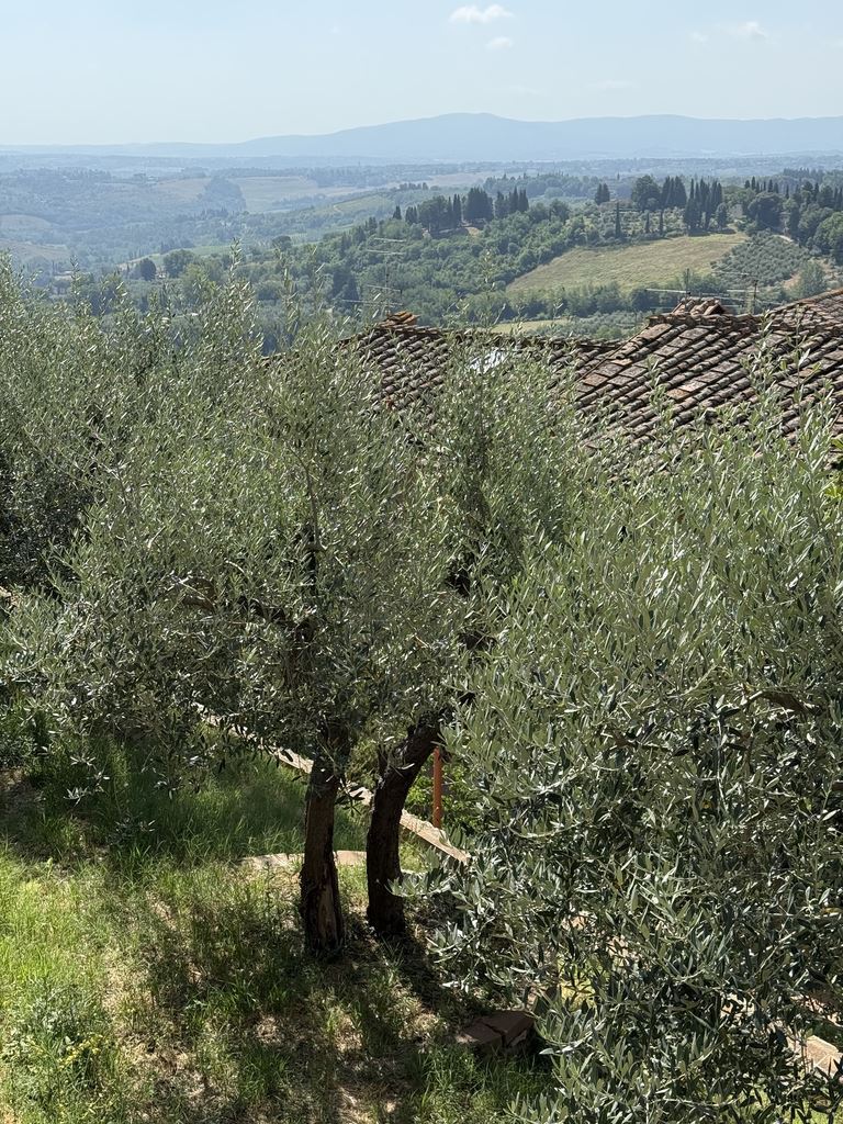 KW_tuscany2