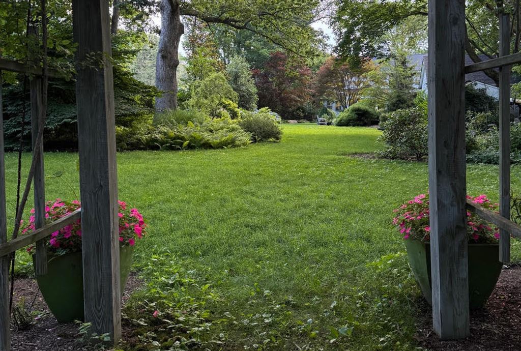 backyard_EL1