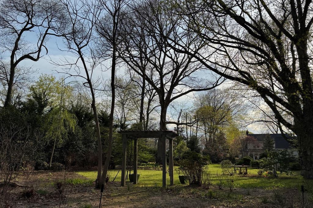 backyard_EL3
