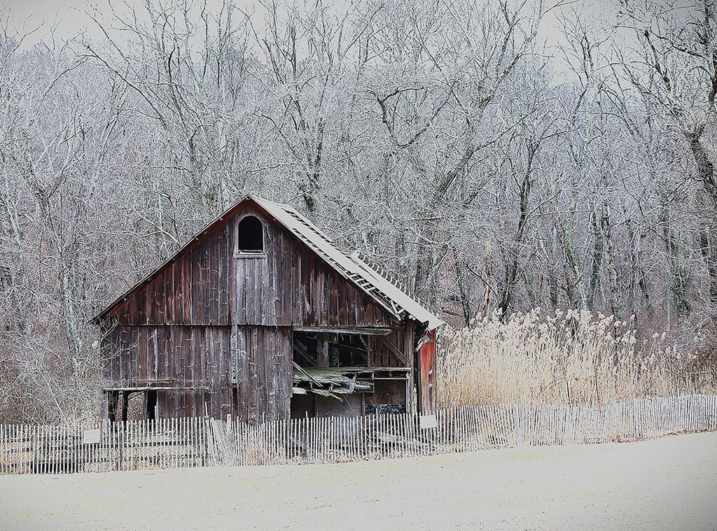 barns_DC1