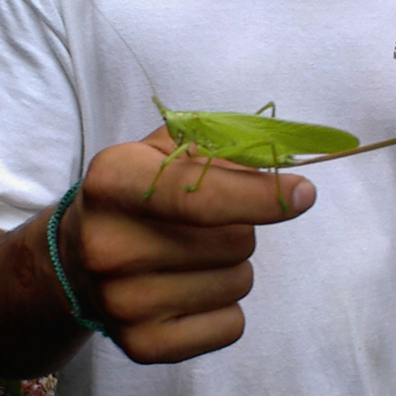 wildlife_JK3