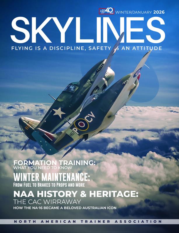 2026.1 Winter Skylines