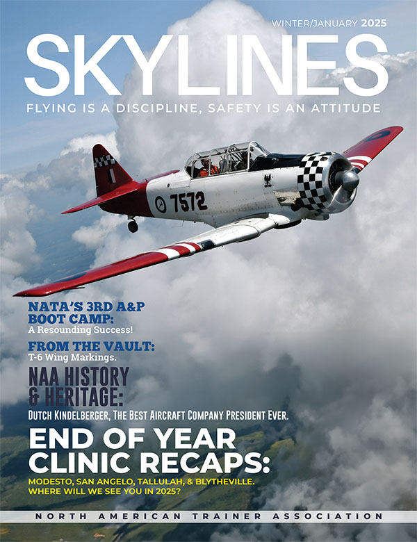 2025.1 Winter 2025 Skylines 