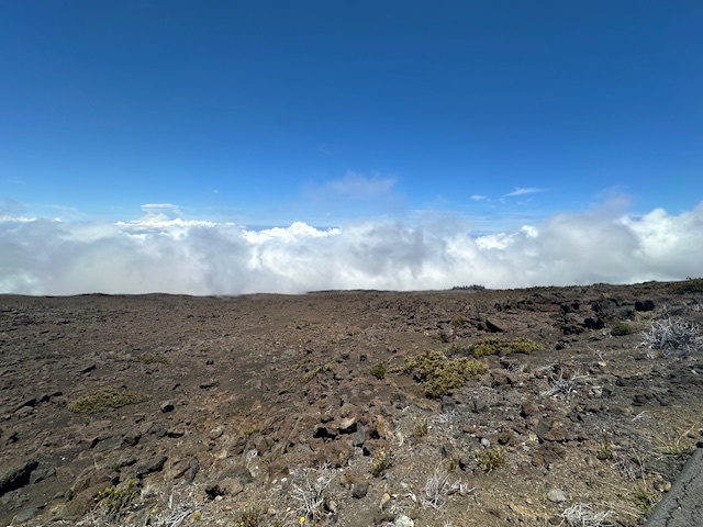 Karen Richardson Haleakala