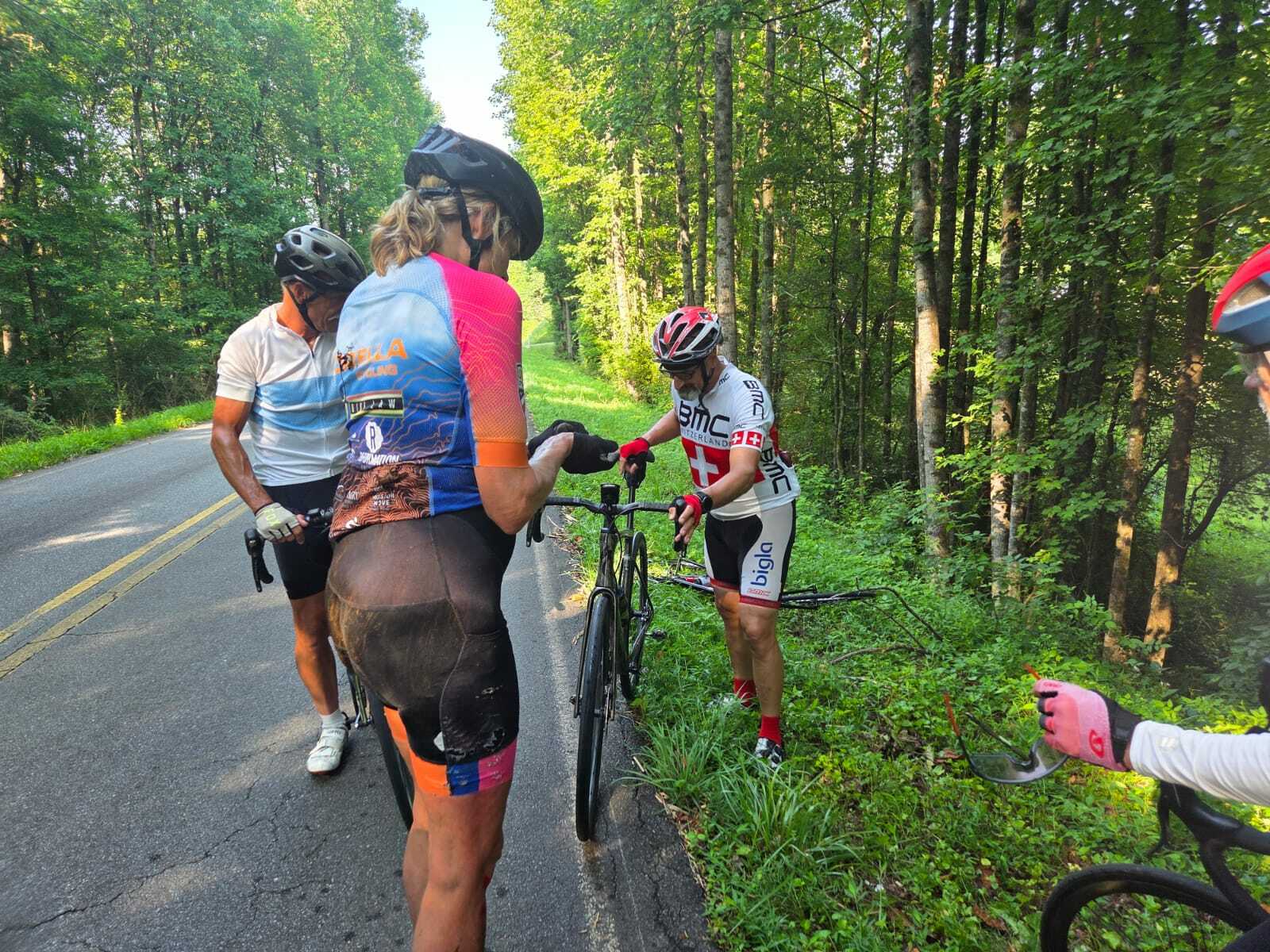 Loretta crash turtle