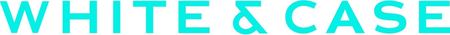 logo ws