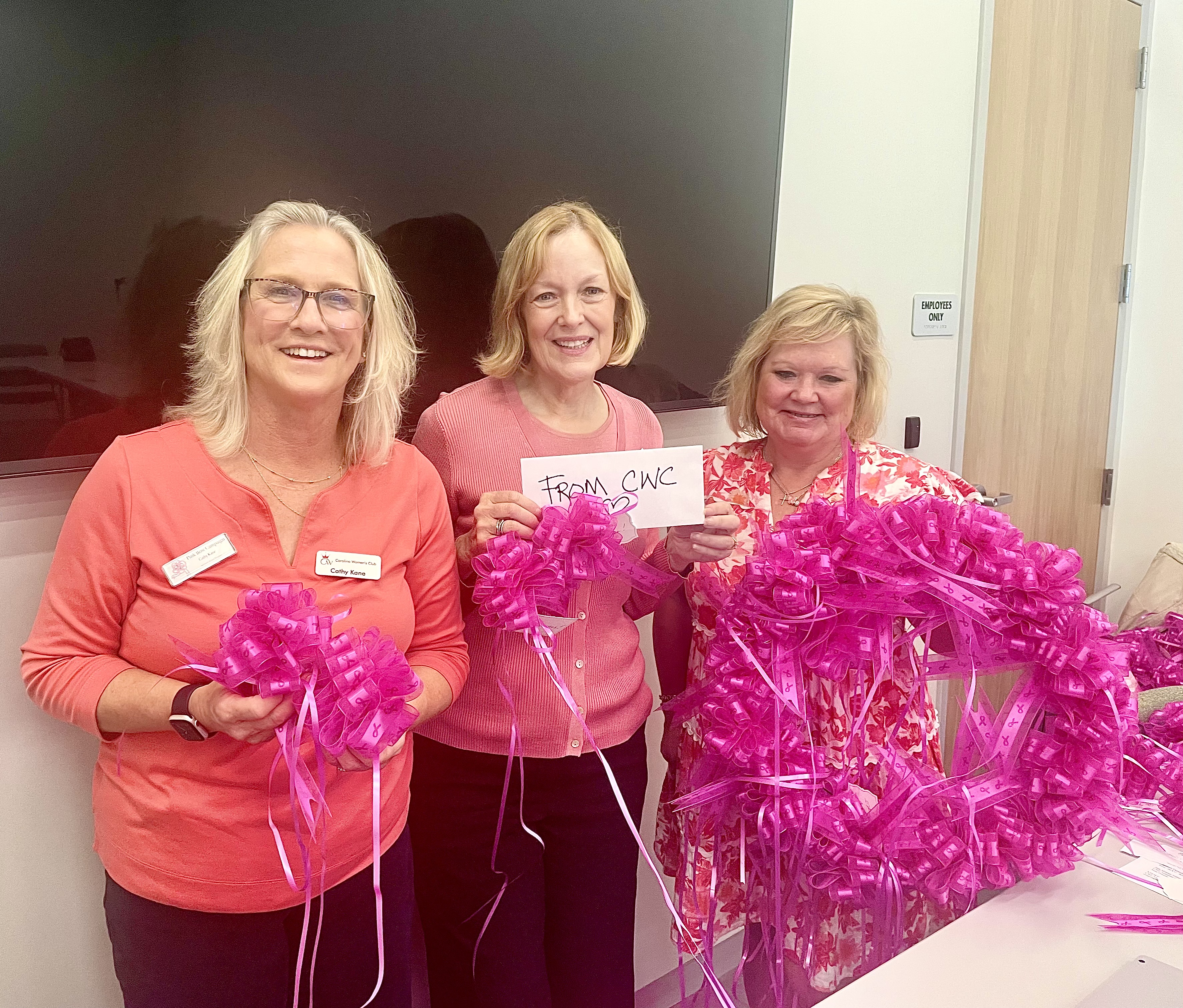 Pink Bow Campaign 2025