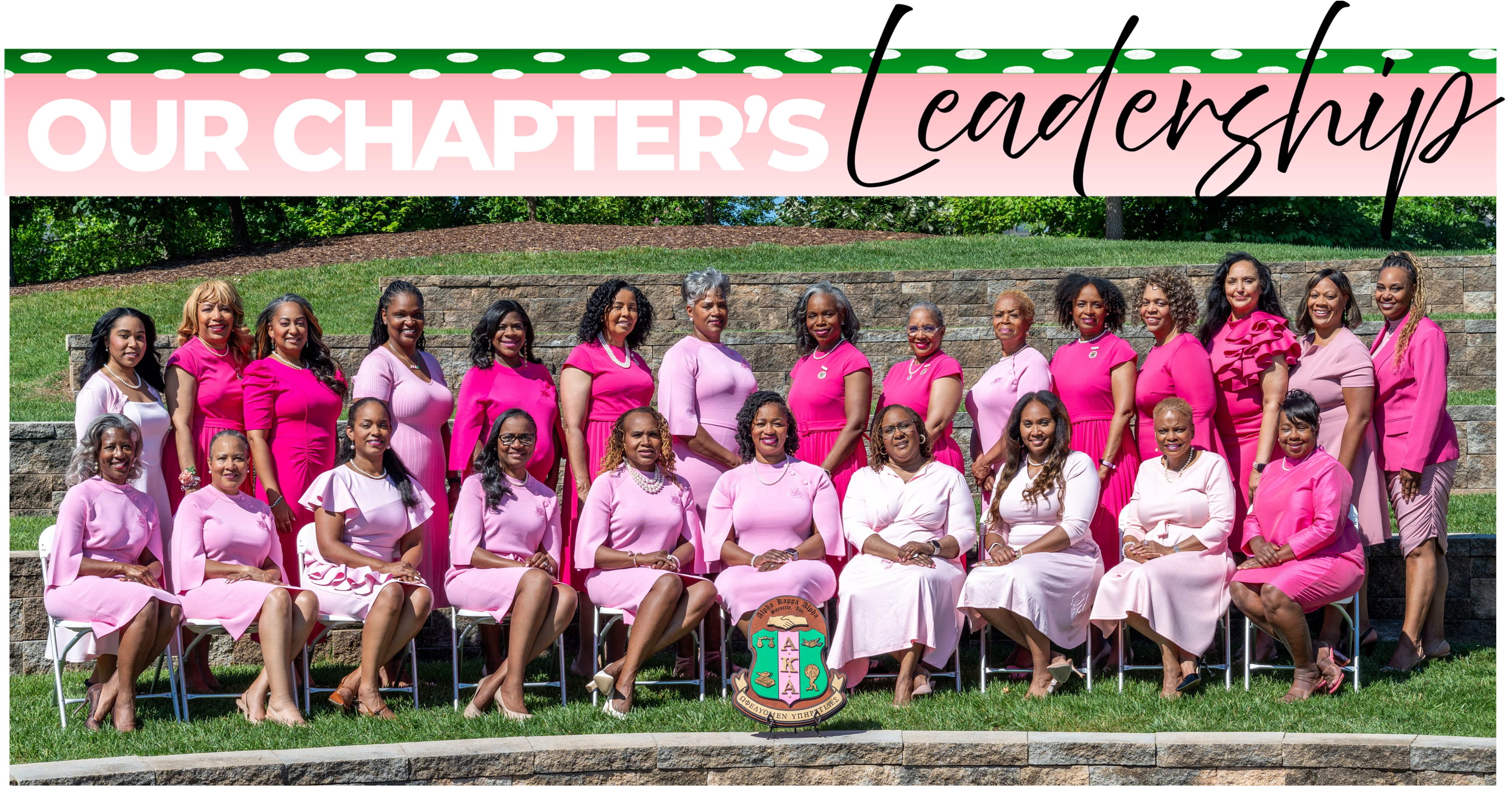 chapter_leadership_header.png