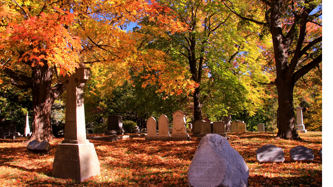 Cemetery Tour