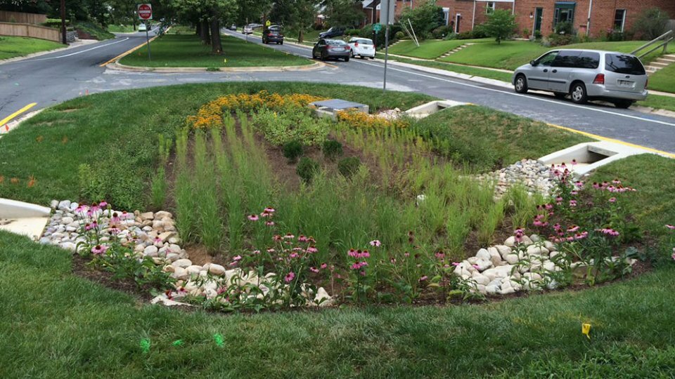 13._EPA_Green_Infrastructure_Biorention_Rain_Gardens_.jpg