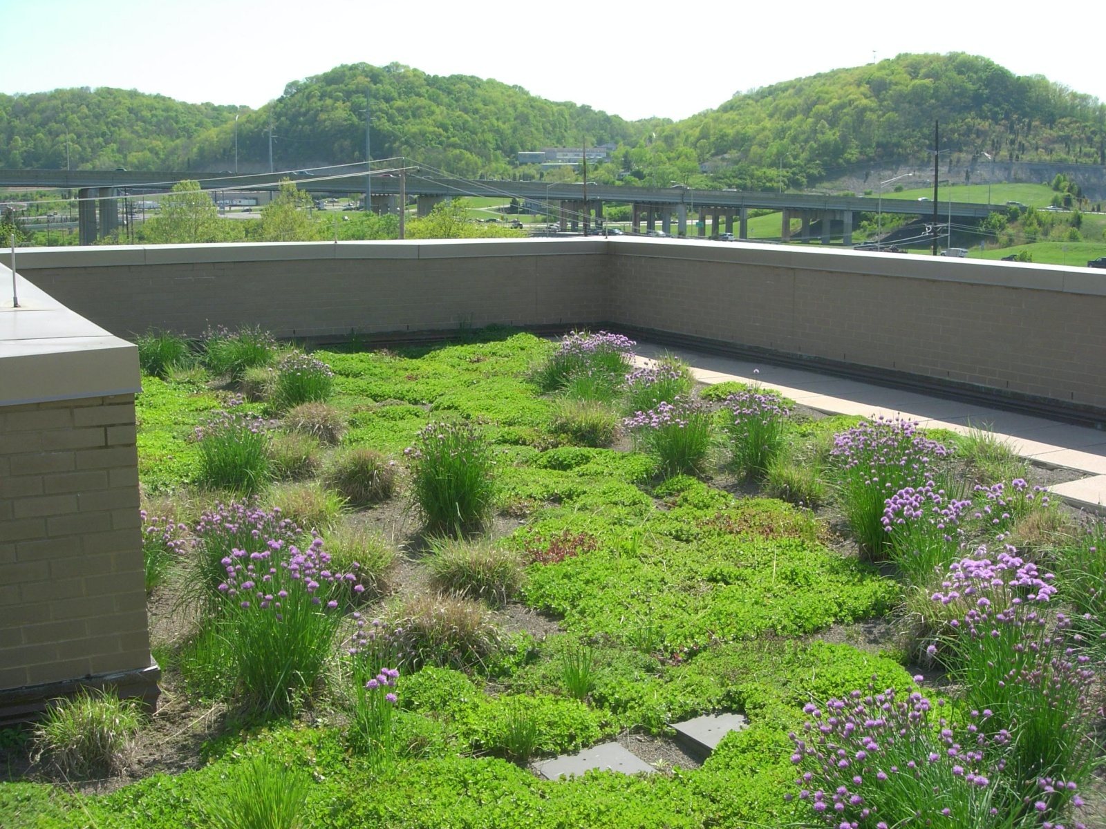 Green Roof SD1 KY NBS
