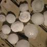 Hail Photo Credit WBKO