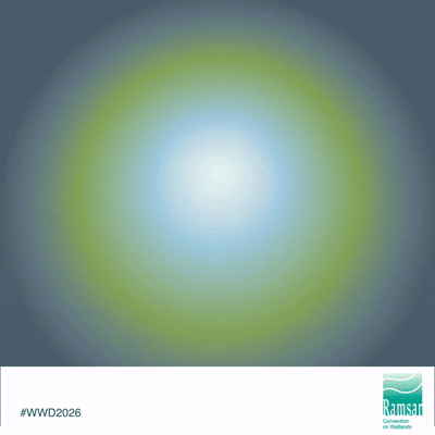 WWD26_Social_EN3.gif