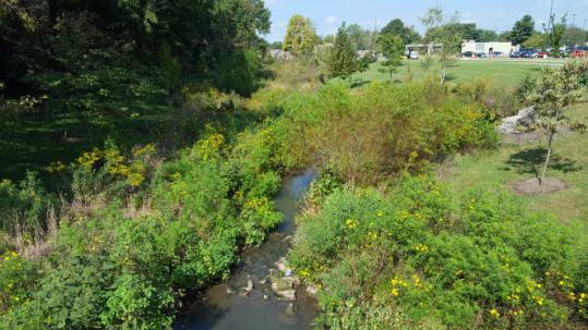 photo_downstream_GI_NBS_block.jpg