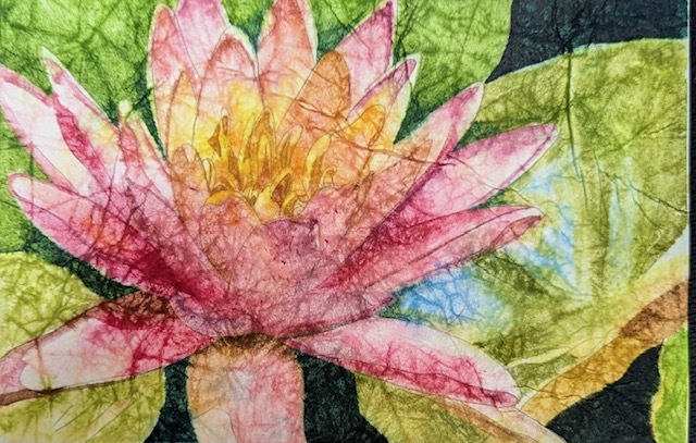 Marlene Gremellion Water Lily 