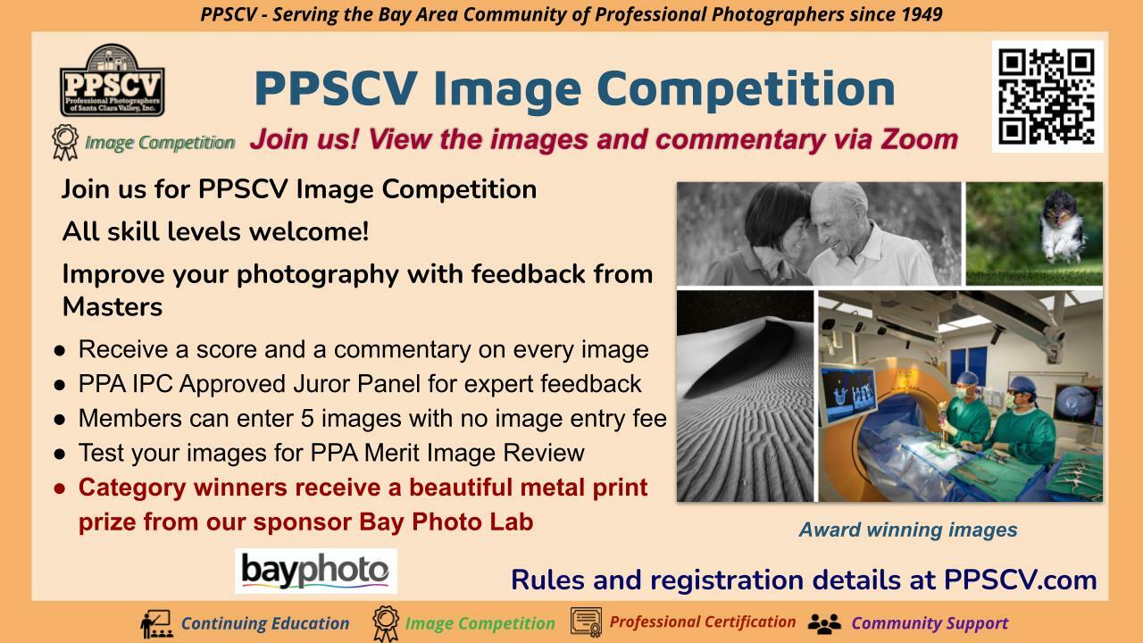 Quarterly Image Competition