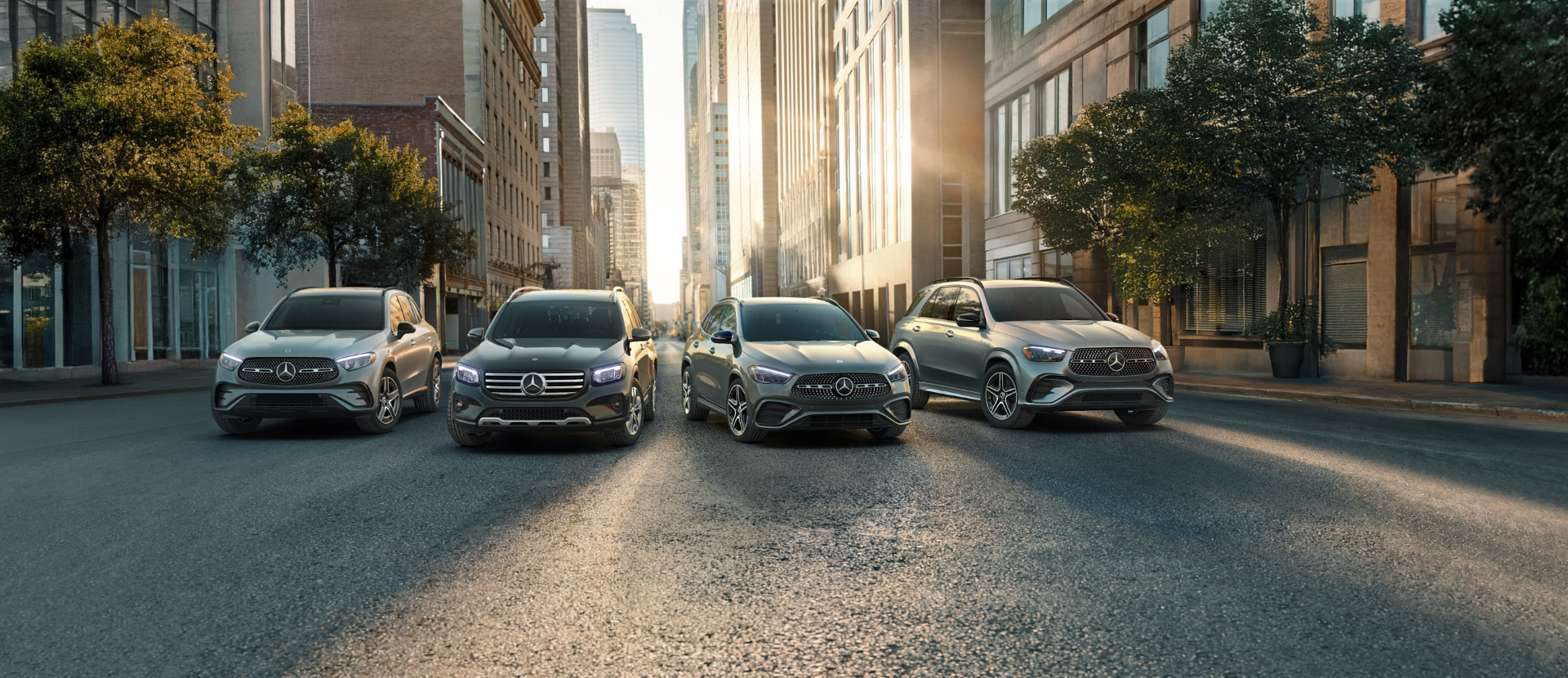 rebate-incentive-header