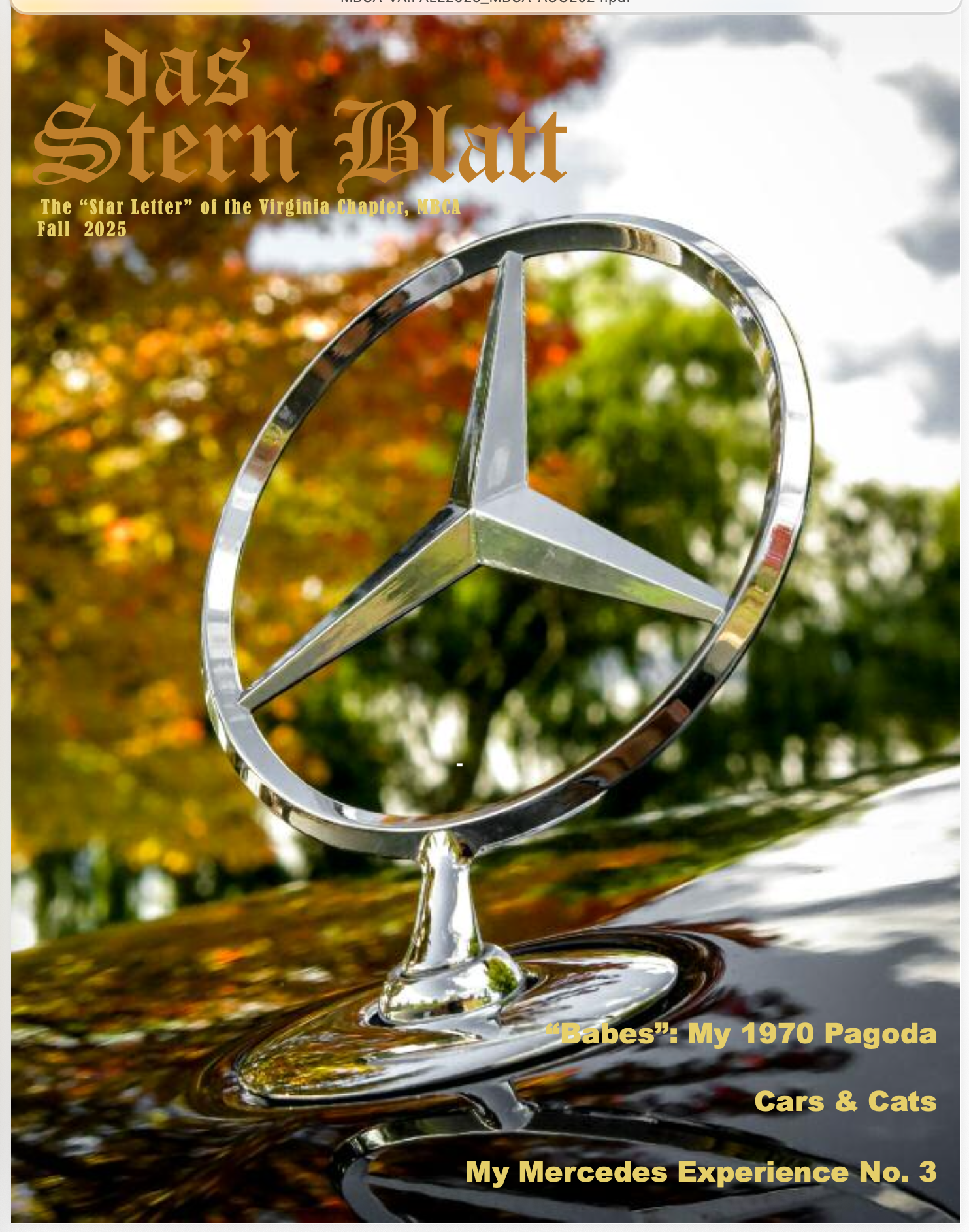 Das Stern Blatt - Fall 2025