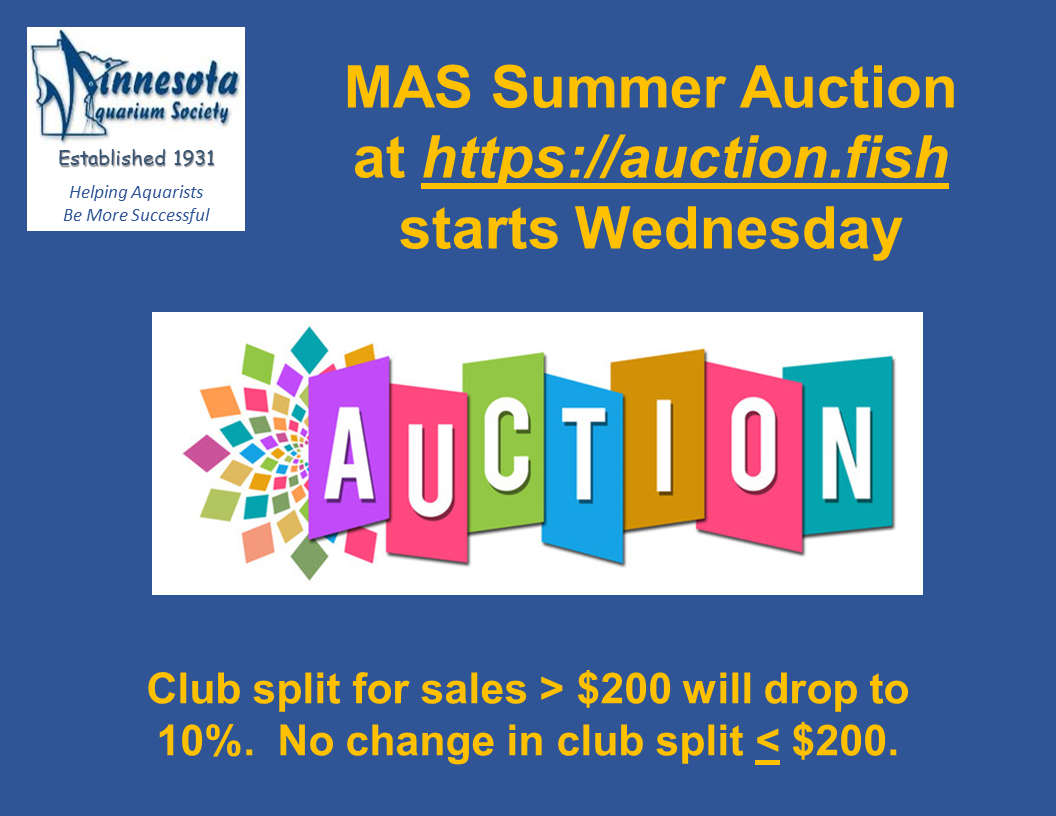MAS Auction Minnesota Aquarium Society