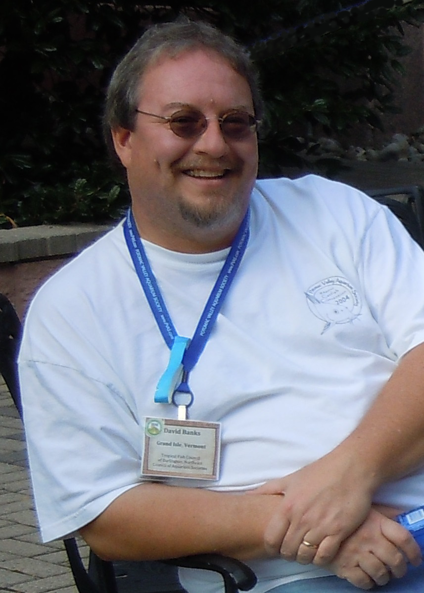 David Banks