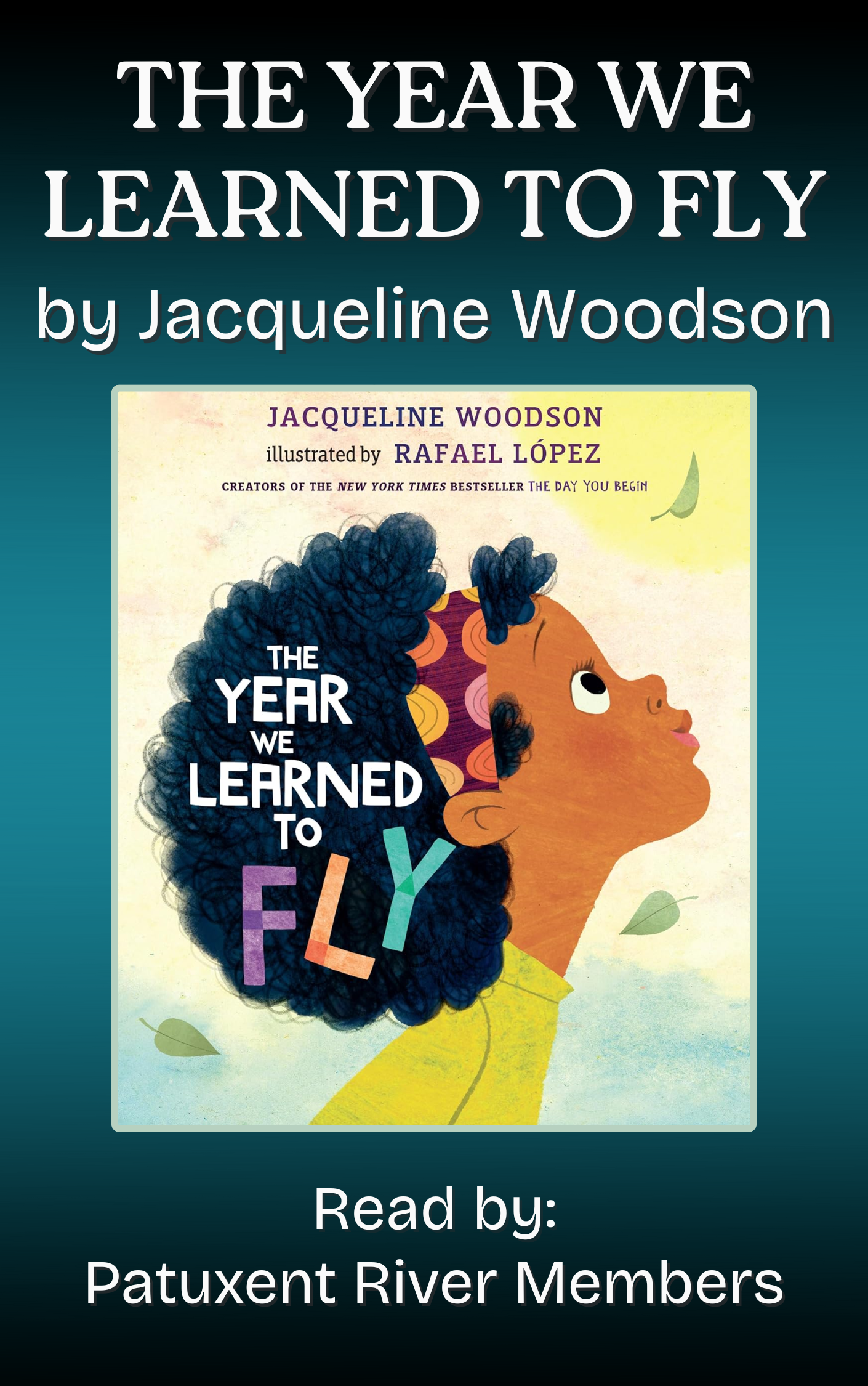 The Year We Learned to Fly Book Cover