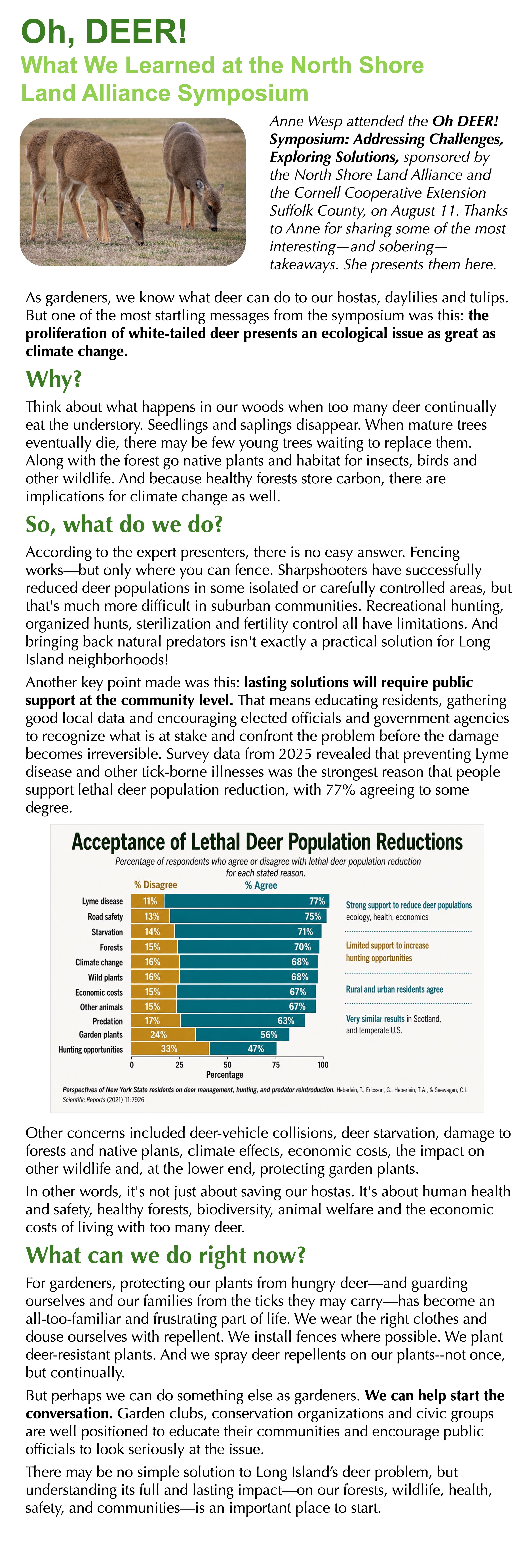 Oh_Deer_Final1.jpg