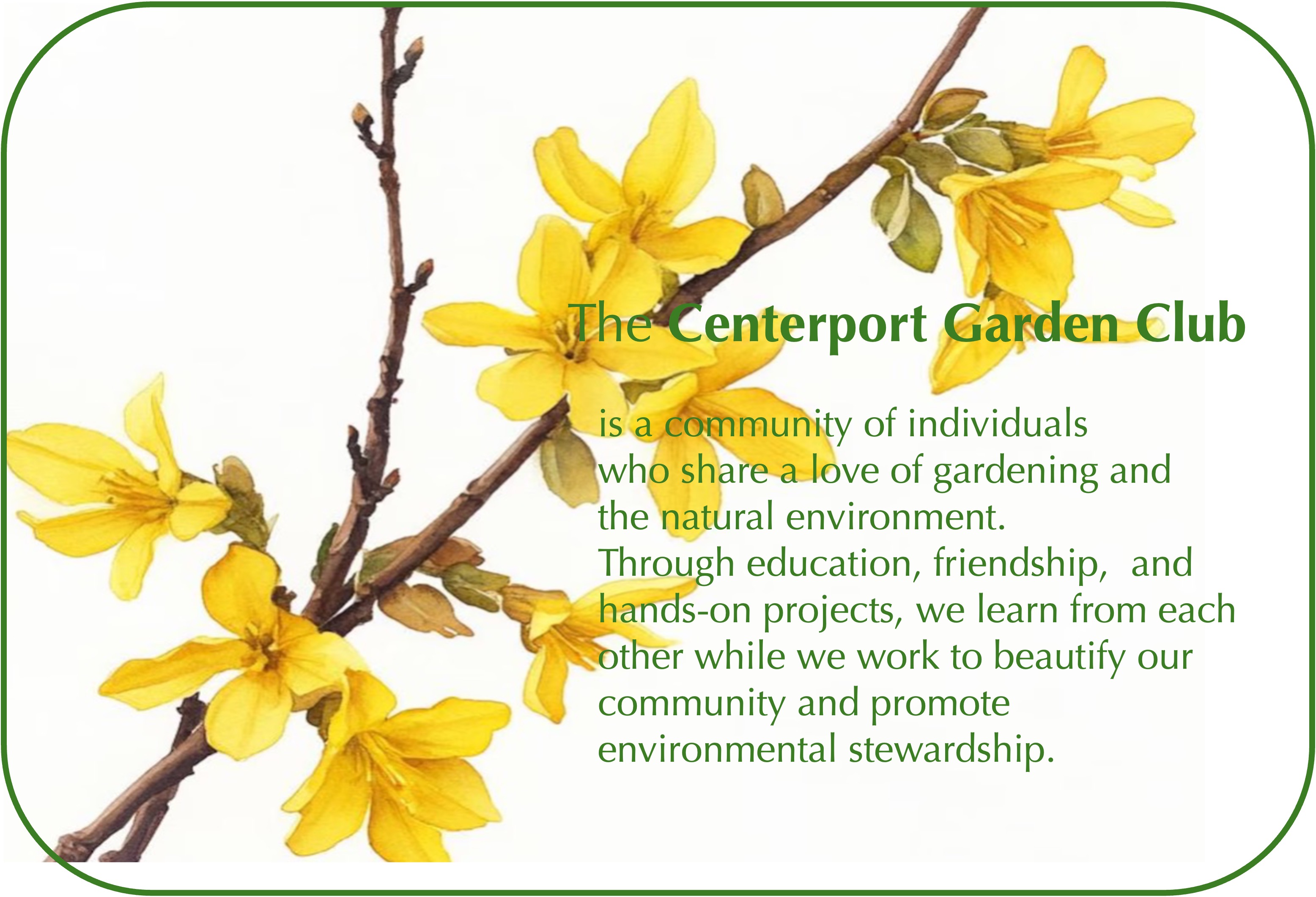 CGC Web Header_Forsythia
