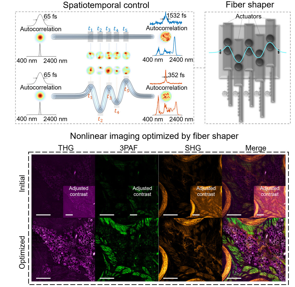 An Energetic, Tunable, Ultra-Broadband Fiber Source for Nonlinear ...
