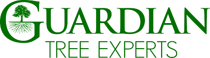 Guardian Tree Experts