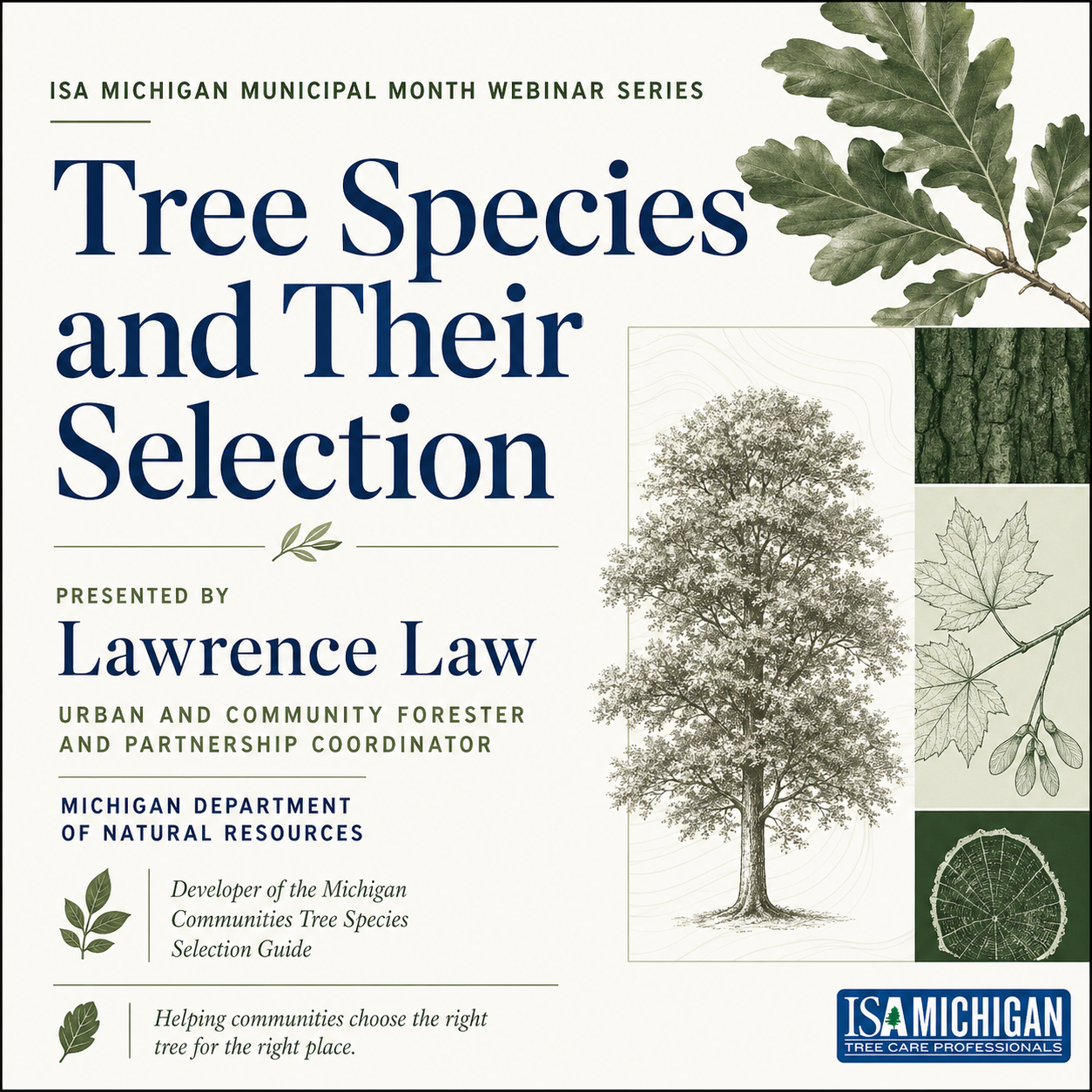 Webinar Tree Species