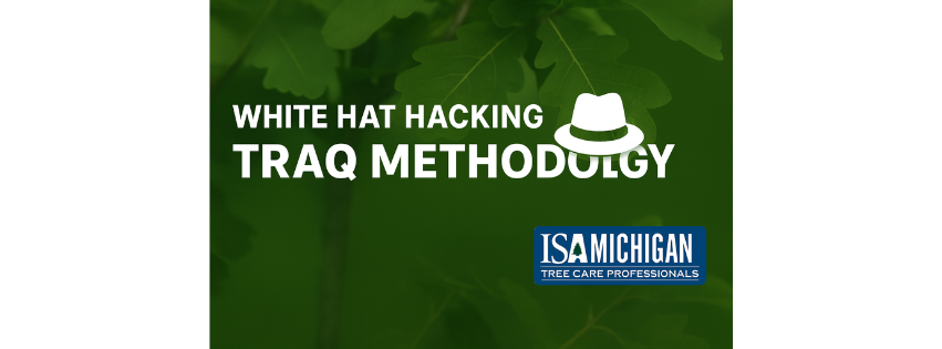 Website White Hat Hacking Resize