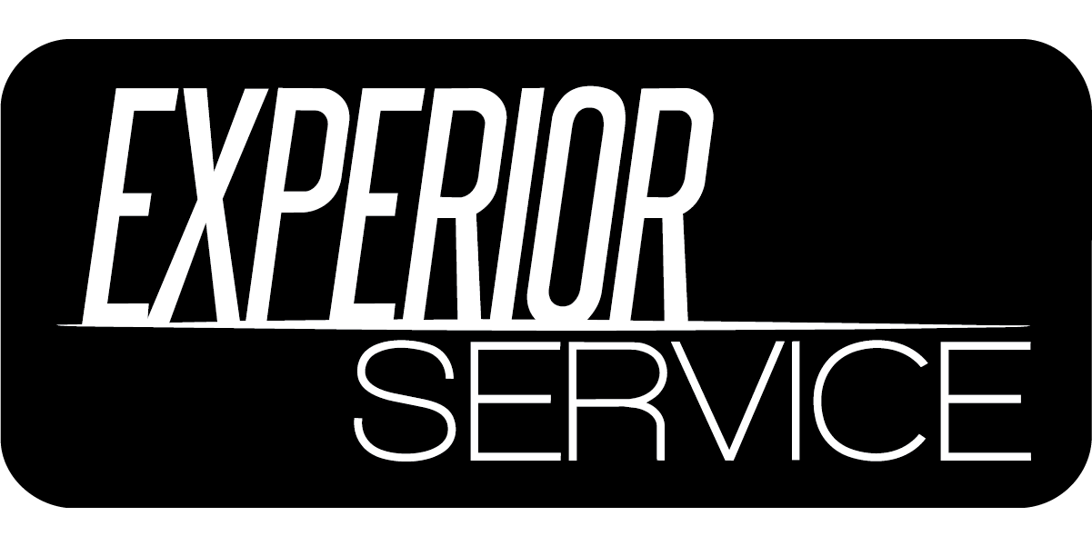 Experior Logo