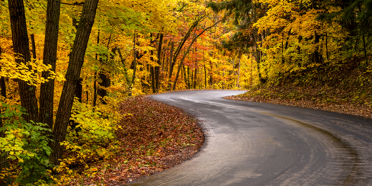 Autumn Leaves Road