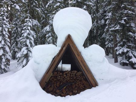 The wood shed
