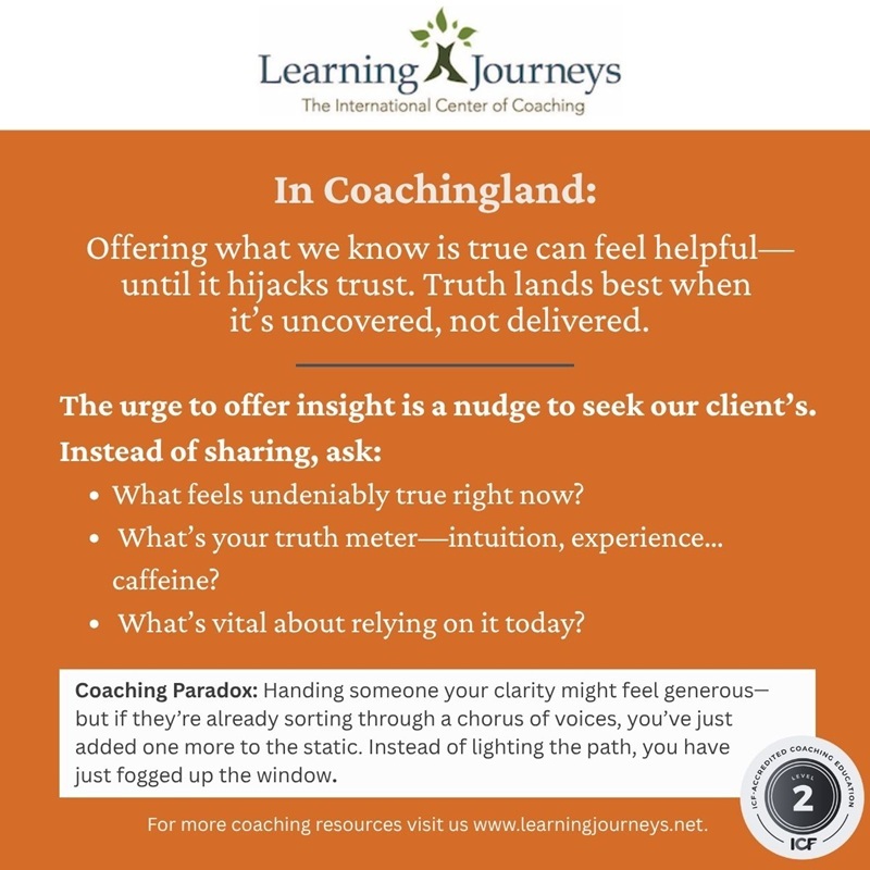 Coaching Paradox 800pix