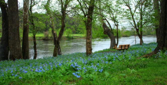 President letter image Spring