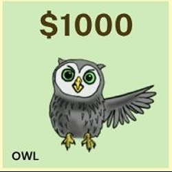 ~2026 Float Naming Owl