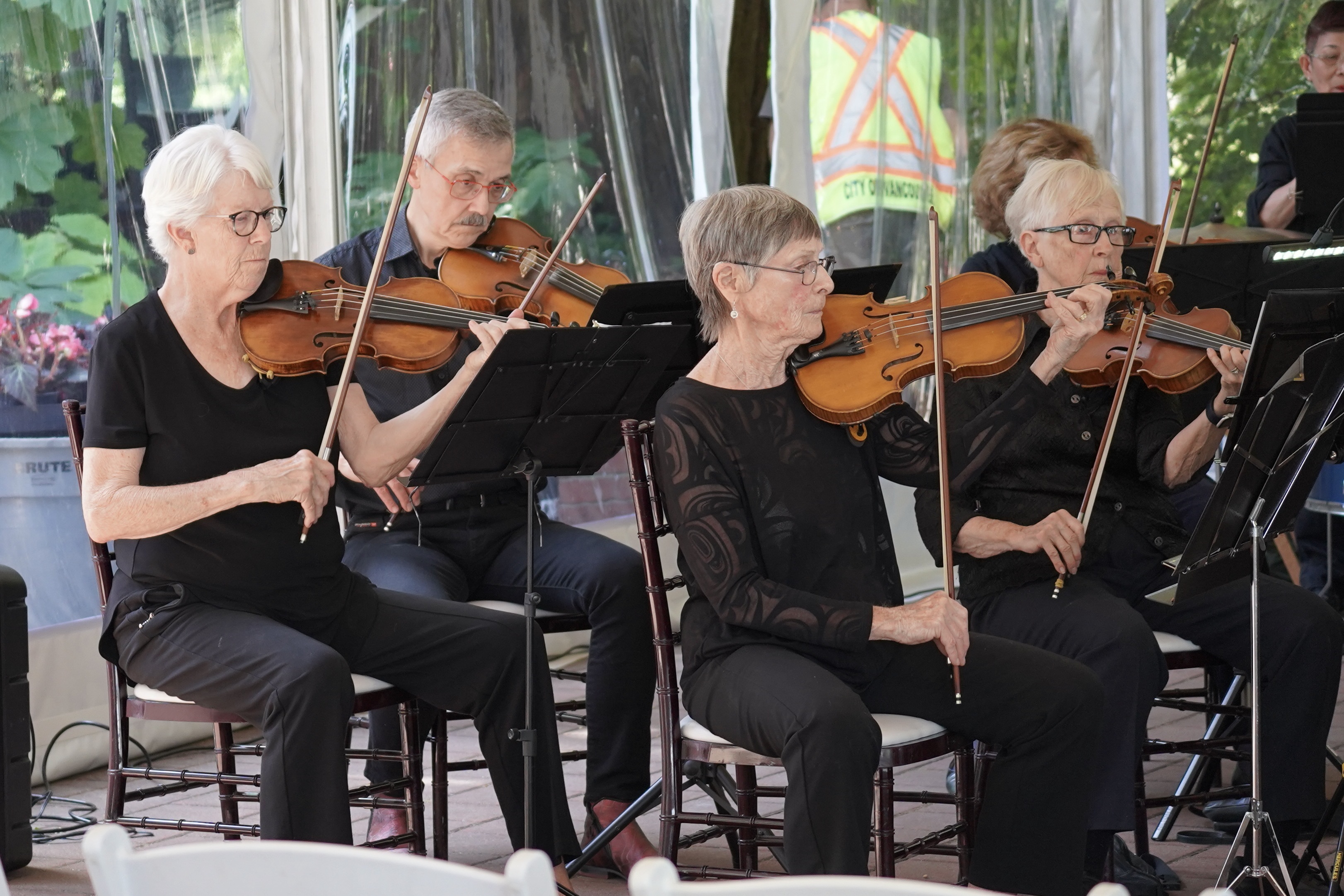 Violins