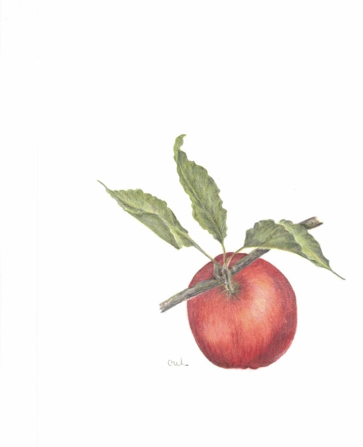 3Apple.jpeg