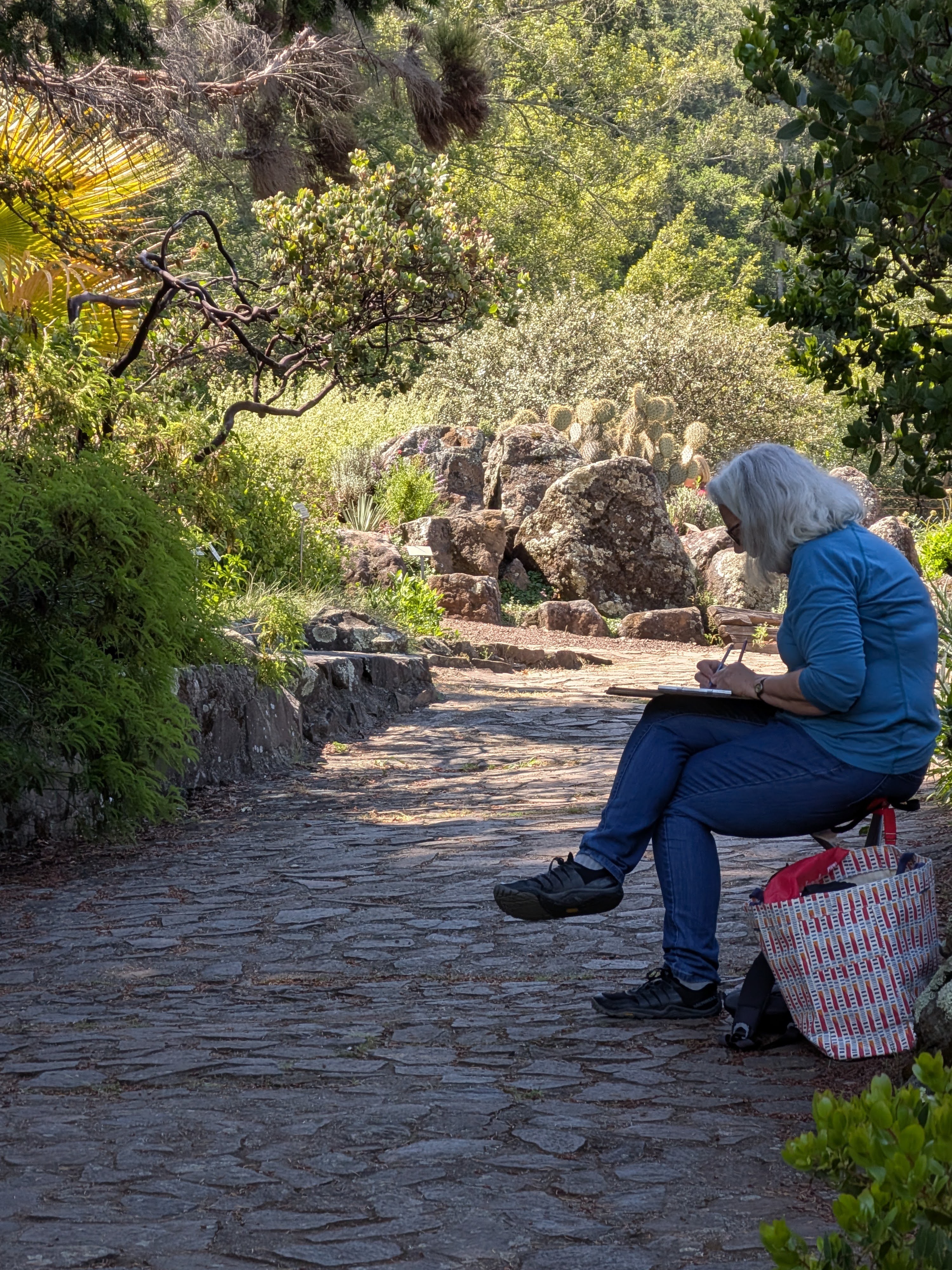NCalSBA_2026_tilden_park_2.jpg