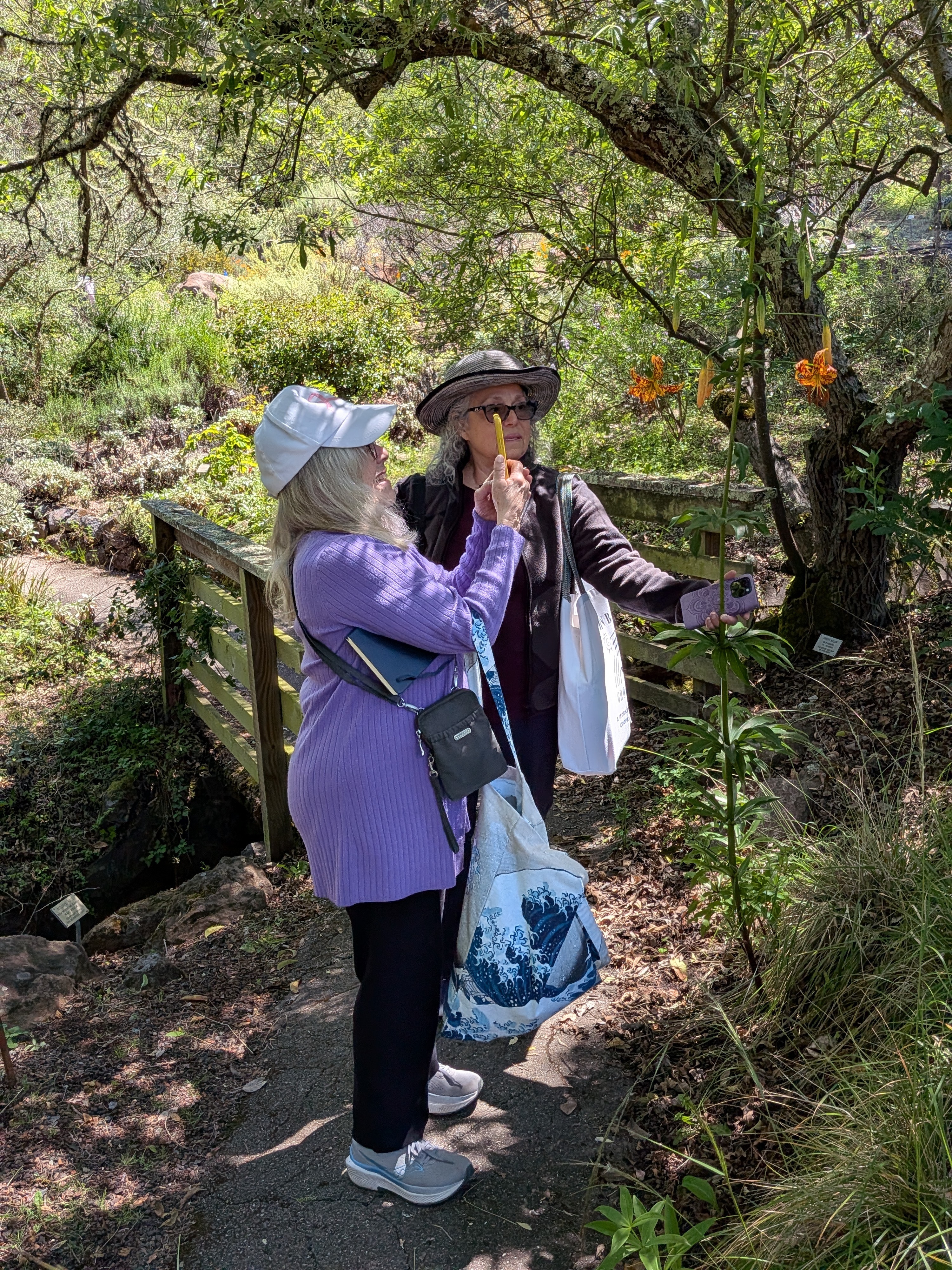 NCalSBA_2026_tilden_park_3.jpg