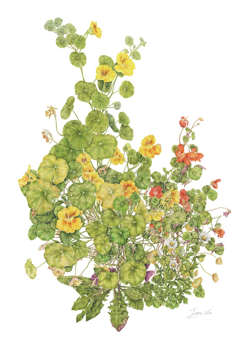 Mixed Natural Flowers