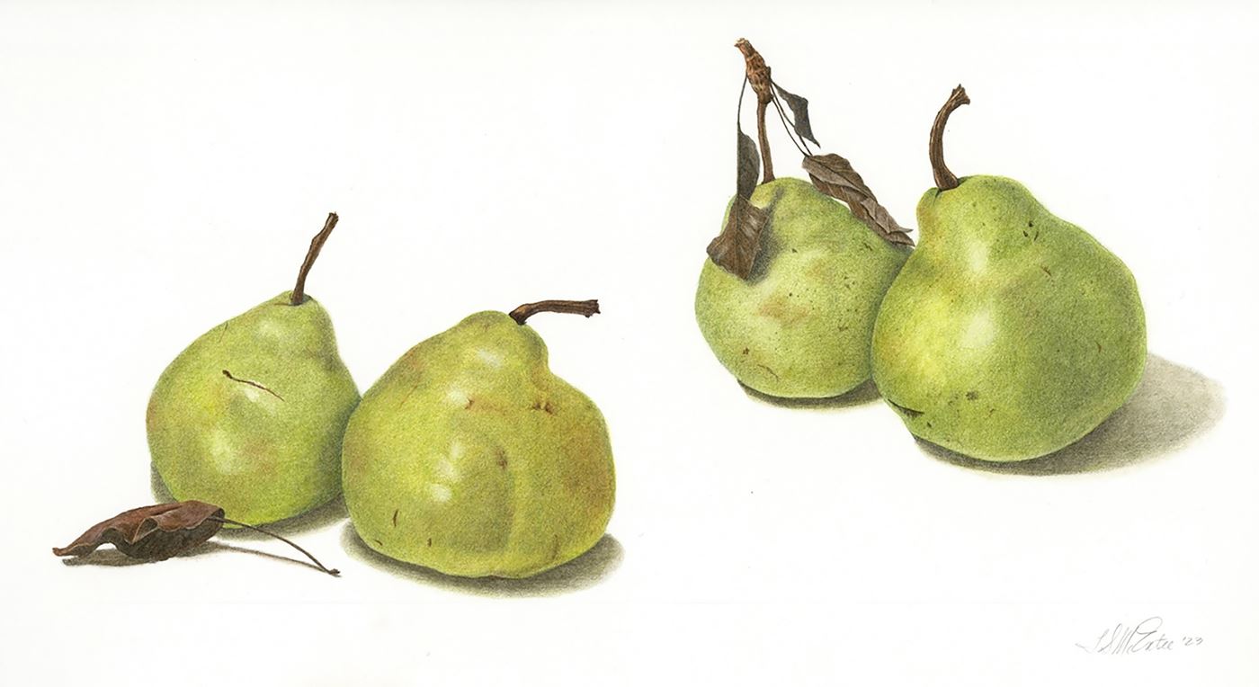 A Pair of Pear Pairs