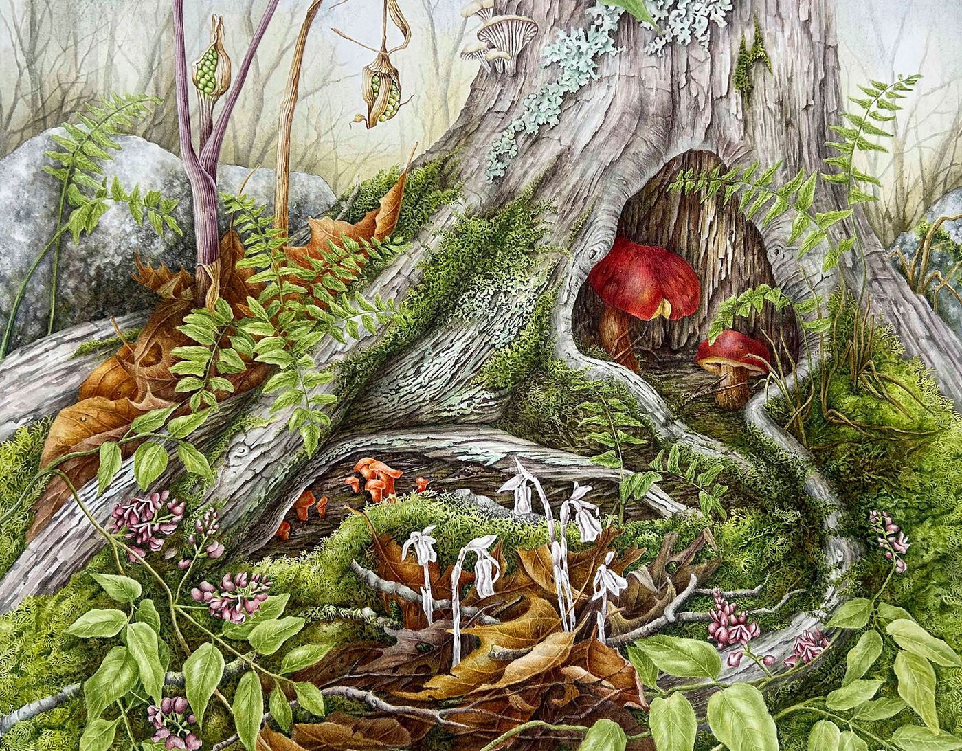 Forest Secrets
