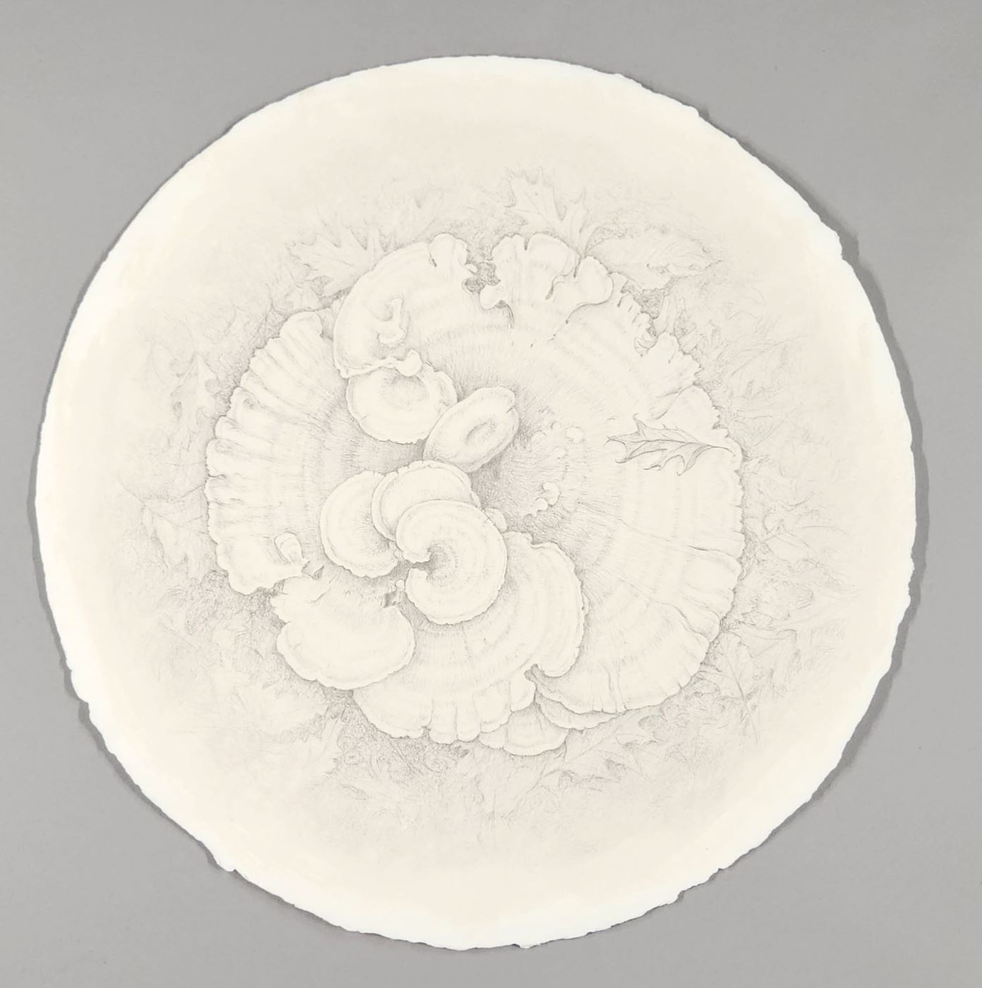 Berkeley's Polypore