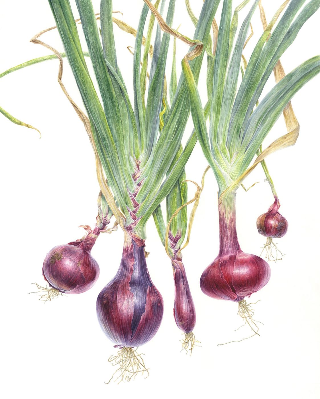 Red Gems