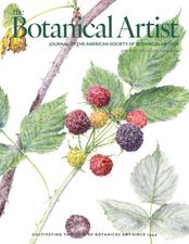 ASBA_31-2_2025_JUNE_DIGITAL_COVER_1209145792.jpg@True