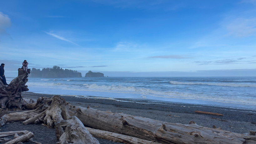View of Pacific Ocean from Mora, WA
