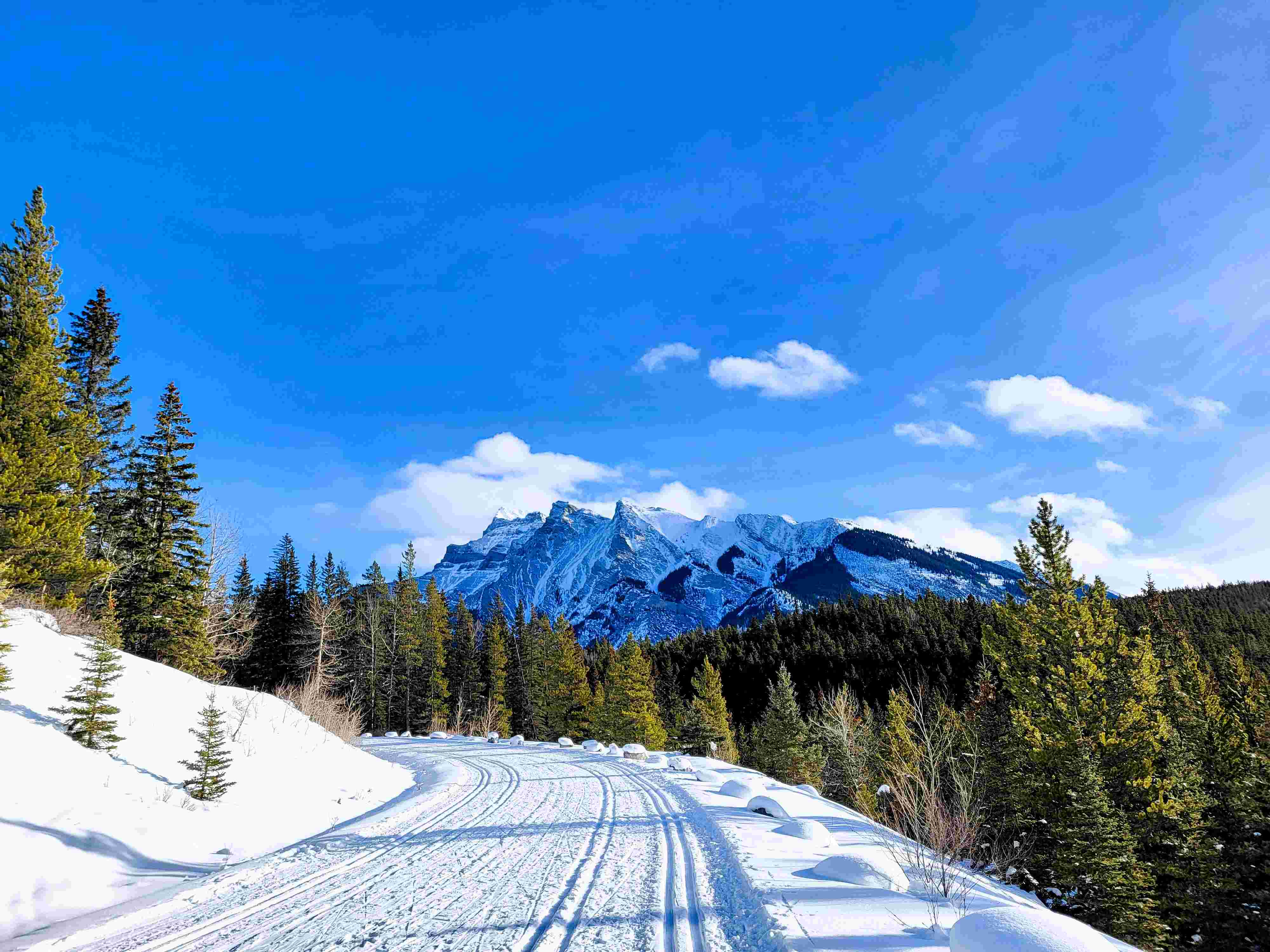 Cascade Fire Road 2026 January 4th (2)